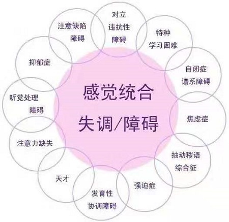 感觉统合的示意图