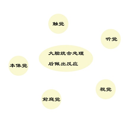 武汉优佳加解读什么是感统失调