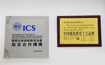 武汉优佳加智能教育荣誉